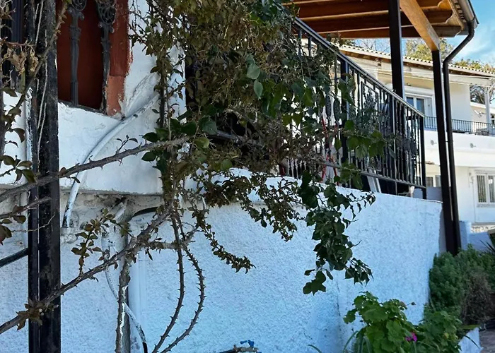Xara House