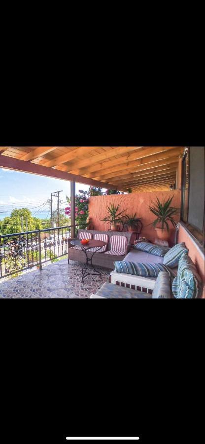 Apartment Xara House