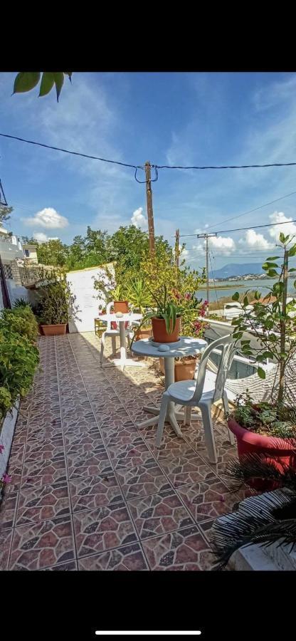 Apartment Xara House
